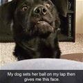 Sets The Ball Down And Gives Me This Face