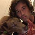 funny dog 5