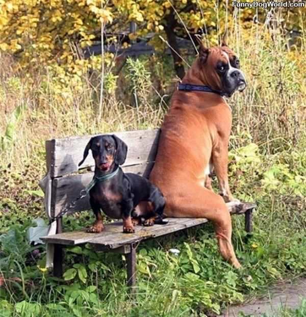 Sharing The Bench