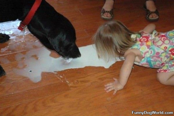 Sharing The Milk