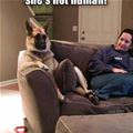 funny dog 3