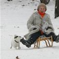 funny dog 4