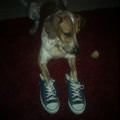 Shoes Too Big