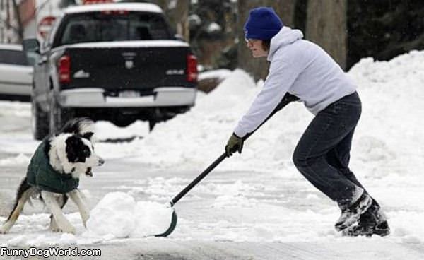 Shoveling