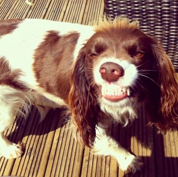 Showing Off My Nice Clean Teeth