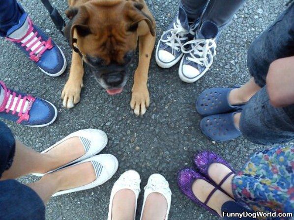 Showing Off Our Feets