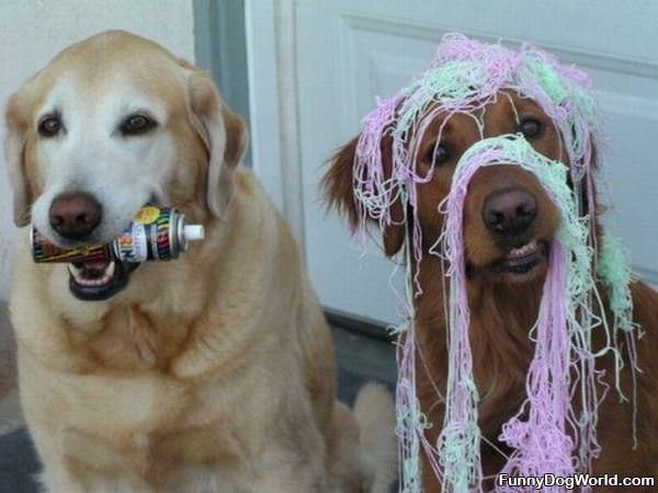 Silly String Dogs