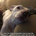 Sing To Her In The Morning