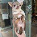 Sitting Awesome