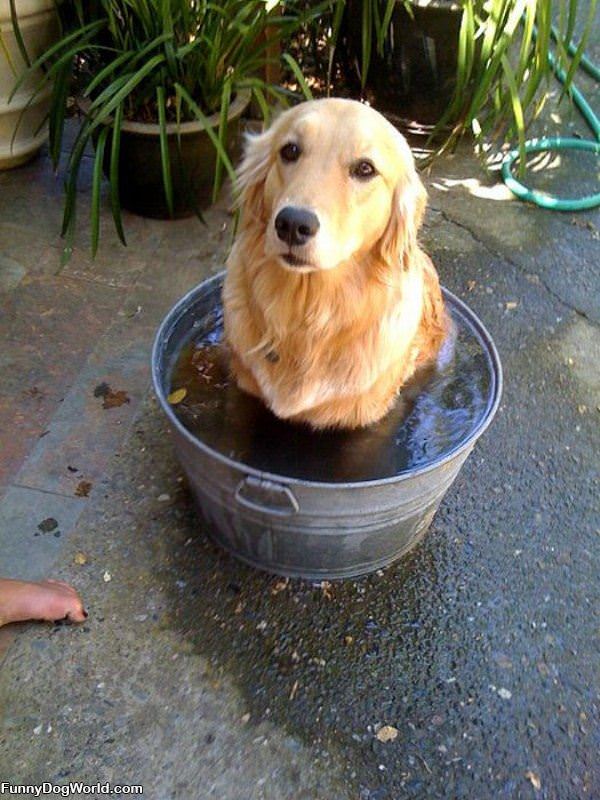 Sitting In My Bath