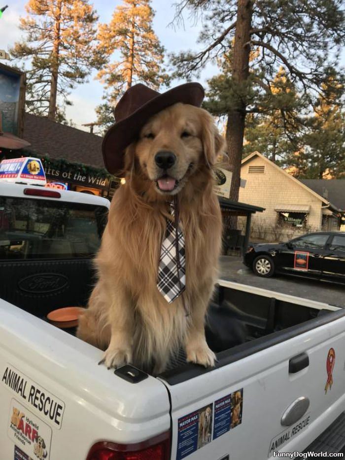 Sitting In The Truck