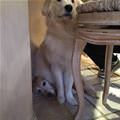 Sitting On My Buddy