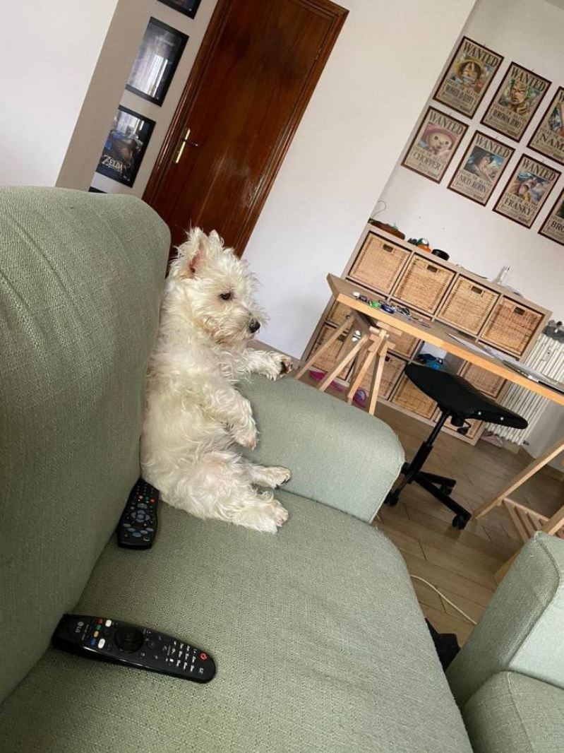 Sitting Up In The Chair