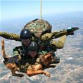 Skydive Dog