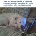 Skyped My Dog