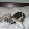 Sleeping In Today