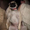 Sleeping Like A Baby