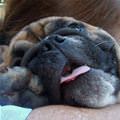 Sleepy
