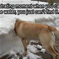 Smell The Water