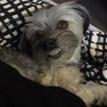 Smile And Say Cheeeeese