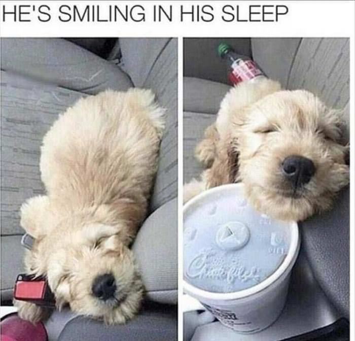 Smiling In His Sleep