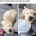 Smiling In His Sleep