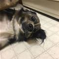 Snacks Please