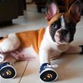 Sneaks