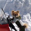 Snowmobile