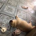 So Asleep