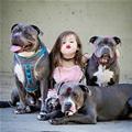 funny dog 2