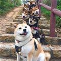 So Many Smiles