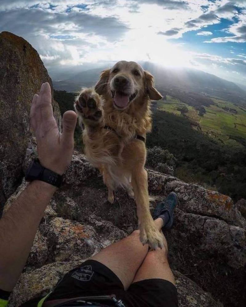 Some High Fives