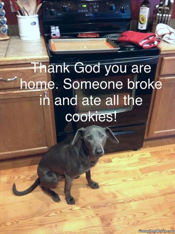 Someone Broke In And Ate All The Cookies