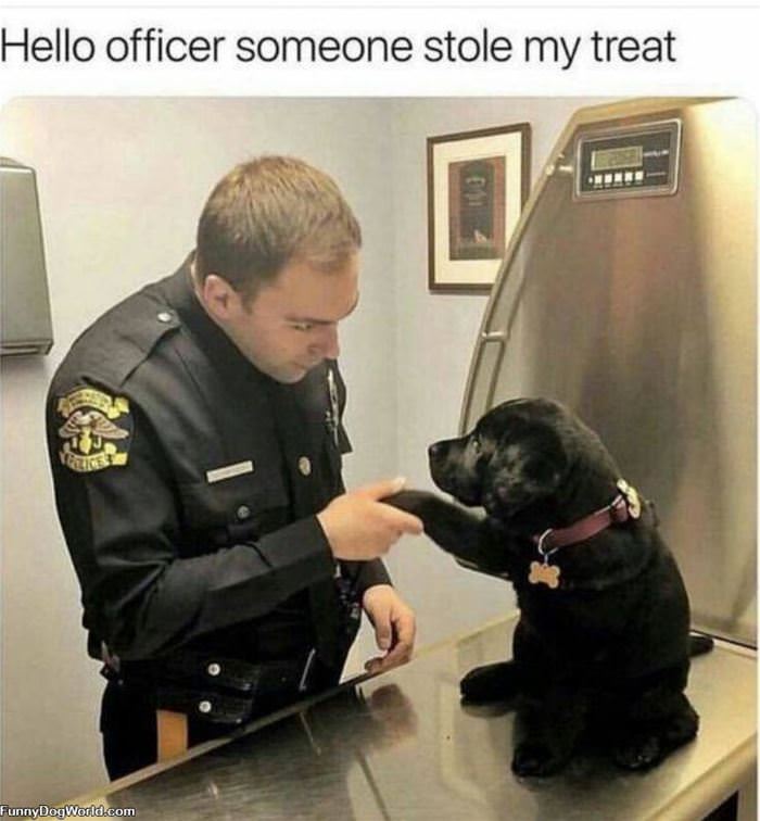 Someone Stole My Treat