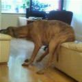 Soooo Comfortable