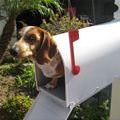 Special Delivery