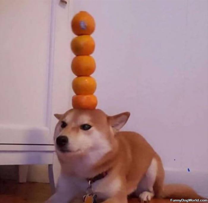 Stack Some Oranges