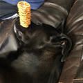 Stacking Some Snacks