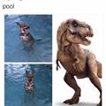 Standing In The Pool