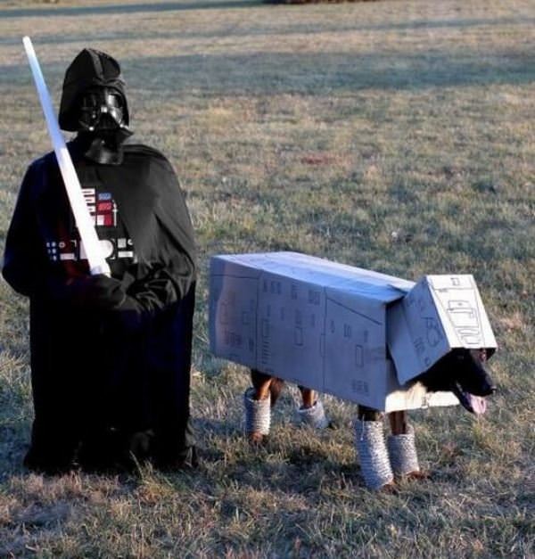 Star Wars Dog