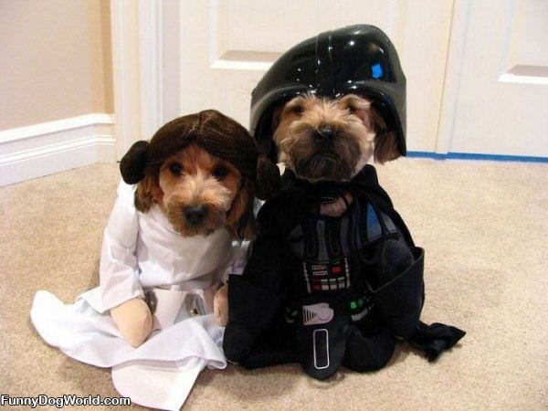 Star Wars Dogs