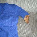 Stuck In The Blankets