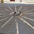 Sunny Circle