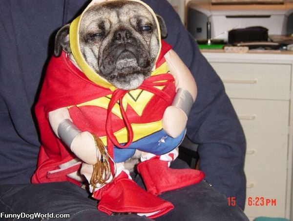 Super Pug