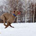 Super Running