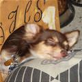 Supertired