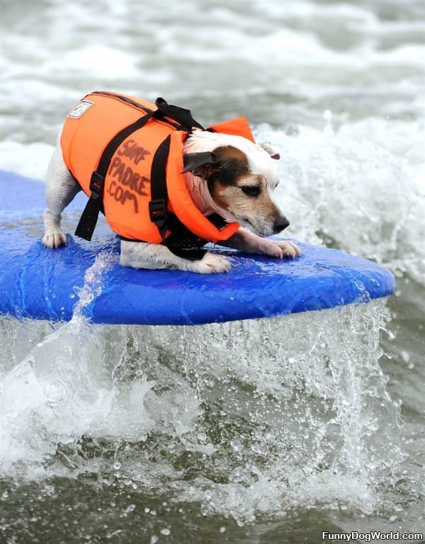 Surfing