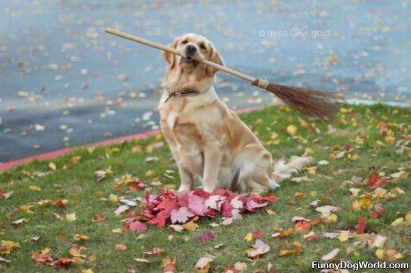 Sweeping Up