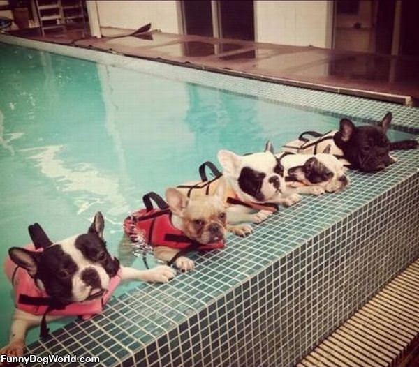 Swimming Class